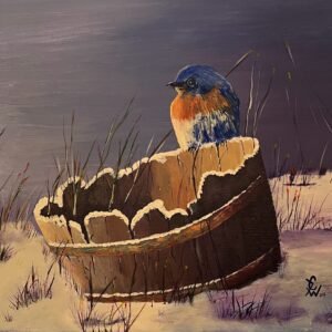 Blue Bird on a Bucket