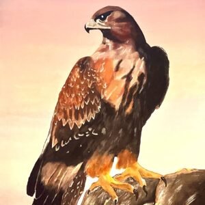 Hawk 20”x24”