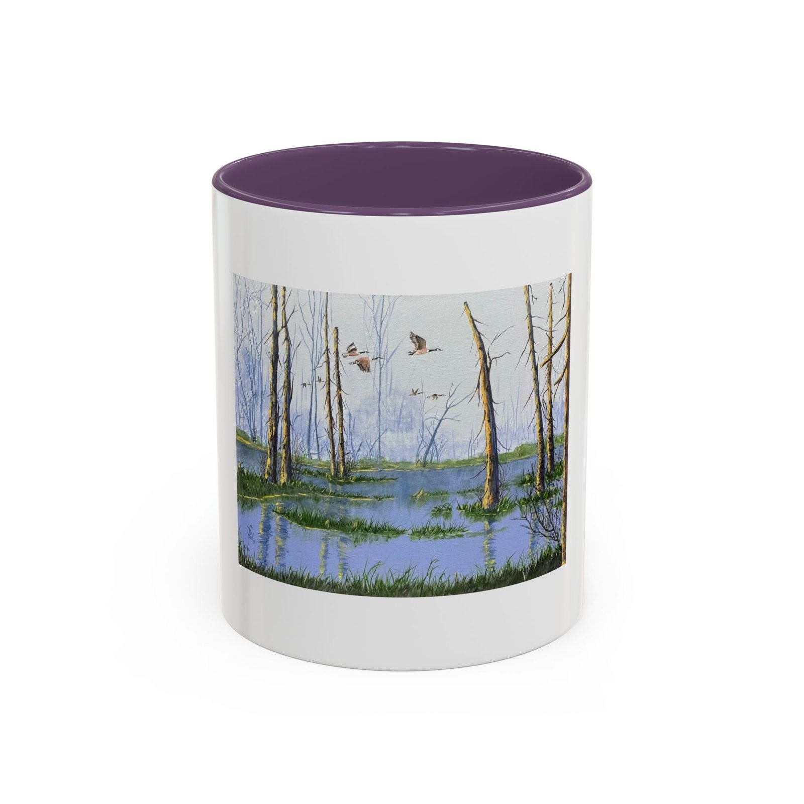 Swamp Geese - Accent Coffee Mug (11, 15oz) - Image 25