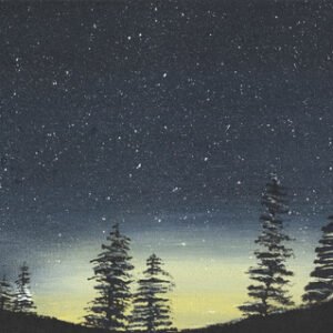 Telescopic View 12”x24”